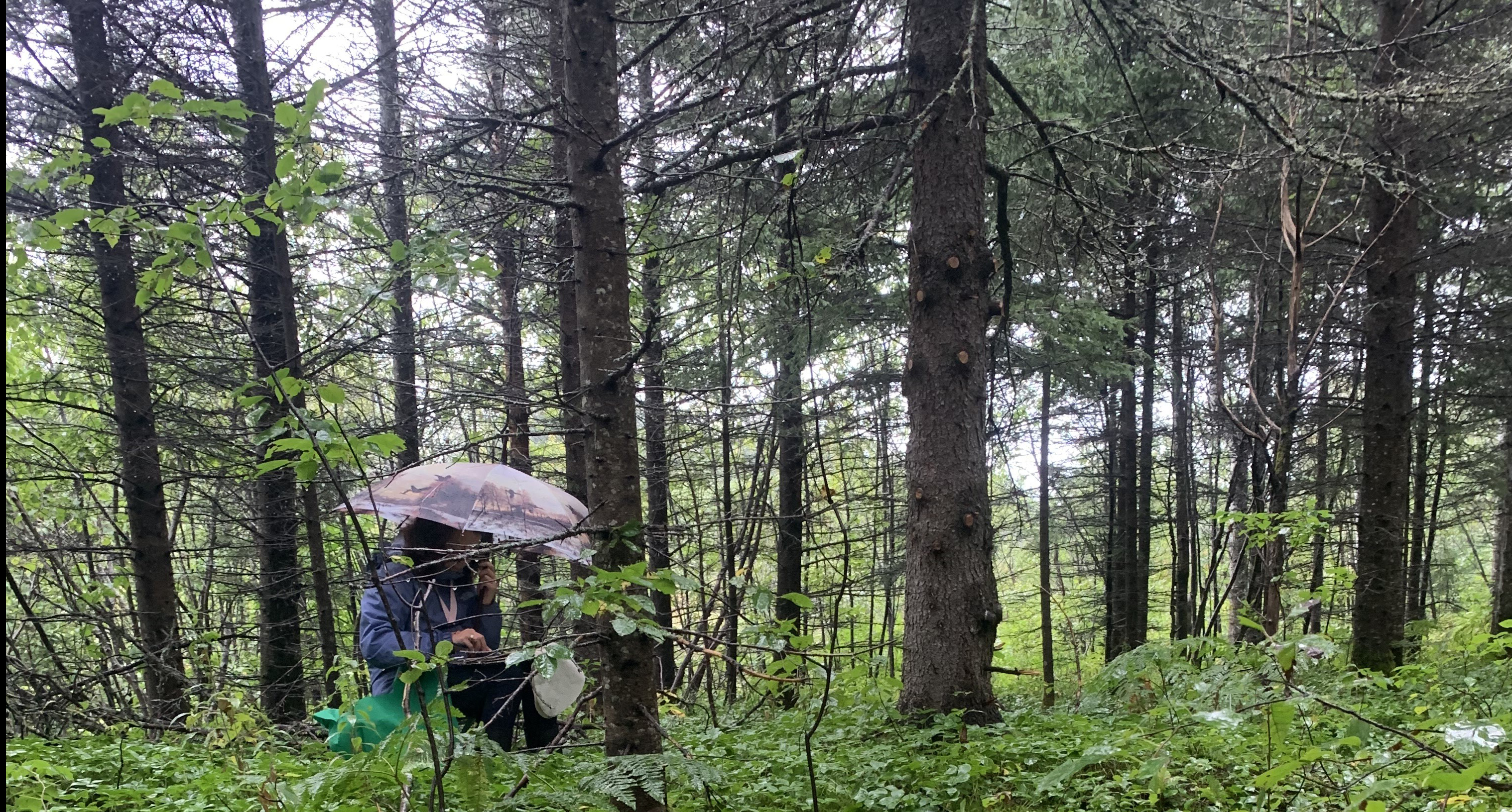 Atelier TERRITOIRE INTIME, étape captation in situ